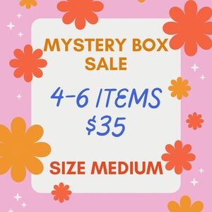 $20!! Mystery Box Sale - Medium